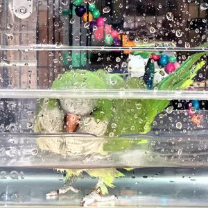 Bird Bath for birds Parrots Tub Large Clear Transparent Swimming Pool Box for Birds to Splash and Play Parrot Shower Bathtub