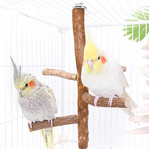 Natural Wood Bird Branch Stand | Perches Pet Parakeet Budgie Hanging Play Toy | Bird Cage Parrot Wooden Desk Holder Perches Platform