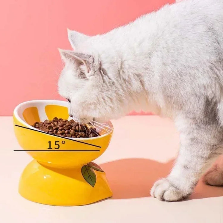 Cat Bowl | Ceramic Cervical Protection | Elevated Grain Bowl | Tilted Mouth | Water & Snack Dish | Pet Products | Fruit Shape Design