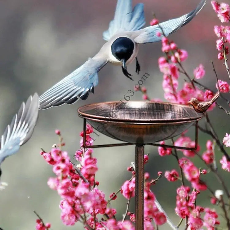 Freestanding Metal Bird Bath with Stake for Outdoor Use | Large Garden Bird Feeder Bowl for Lawns, Patios & Yards