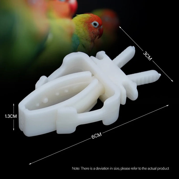 2Pcs Cute Small Pet Bird Food Holder | Parrot Fruits Vegetables Clip | Cuttlefish Bone Feeder Device Clamp | Bird Cage Accessories