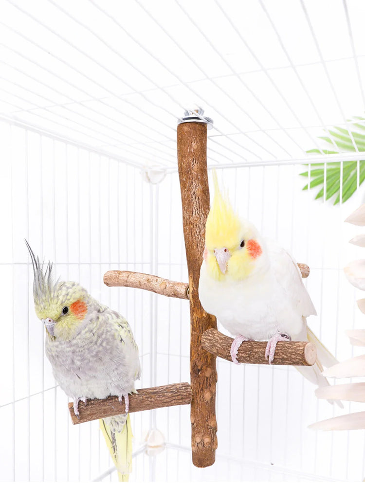 Natural Wood Bird Branch Stand | Perches Pet Parakeet Budgie Hanging Play Toy | Bird Cage Parrot Wooden Desk Holder Perches Platform