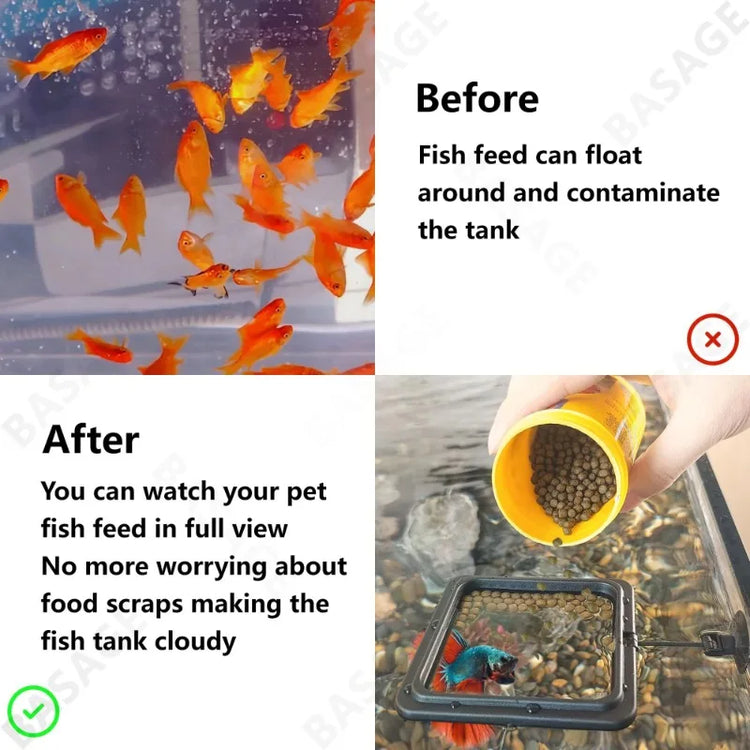 Aquarium Feeding Ring Floating Food Tray with Suction Cup – Square Fish Feeder (Black & Blue)