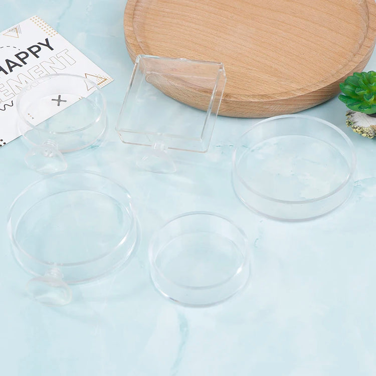 Acrylic Transparent Shrimp Feeder – Lightweight Durable Fish & Shrimp Feeding Container