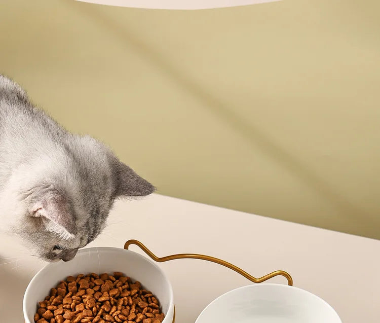 Ceramic Cat Bowl | Food & Water Bowl for Cats/Dogs | Double Ceramic Bowl Set | Cervical Protection | Pet Feeding Supplies