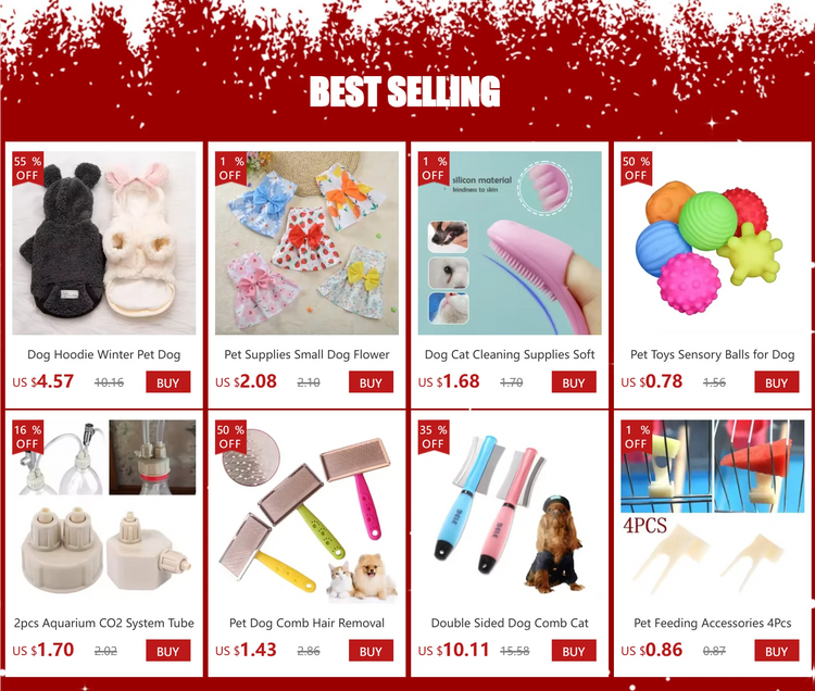 4Pcs Bird Fruit Forks | Parrot Cage Feeding Tools | Plastic Food Holder for Fruits & Veggies | Clip-On Feeding Accessories for Birds & Small Pets