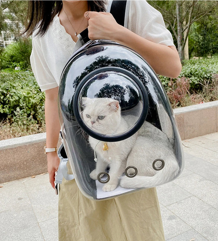 Cat Carrier Bag | Outdoor Pet Shoulder Bag | Carriers Backpack | Breathable Portable Travel Transparent Bag | For Small Dogs Cats