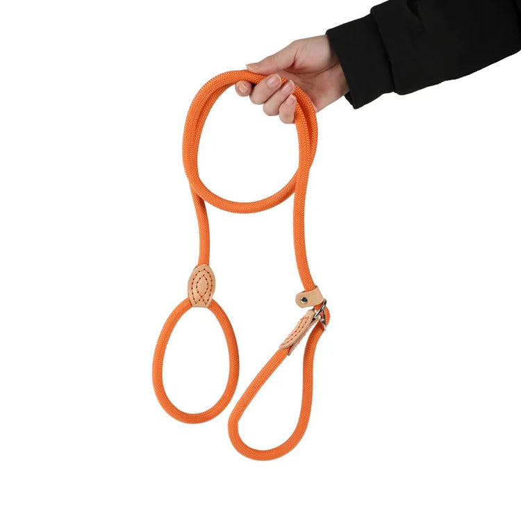 180cm Adjustable Collar Harness Dog Leash – Durable, Lightweight Nylon Rope for Puppies