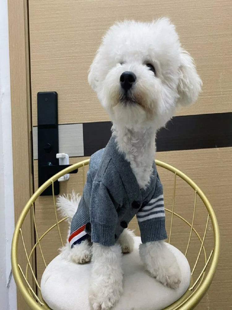 Cat Dog Clothes | Autumn Winter Sweater | Fashion Cardigan | English Short & Blue Cat | Teddy Chenery | Warm Wool Pet Clothing