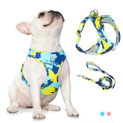 New Dog Cat Harness | Adjustable Vest Walking Lead Leash | Puppy Dogs Collar | Polyester Mesh Harness | Small Medium Dog Cat Pet