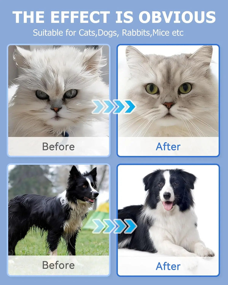 Cleaning Wipes Gloves for Dog/Cat | Deodorizing Bath Wipes | Grooming Glove for Paws, Face, Ears, and Body | Daily Pet Care Supplies