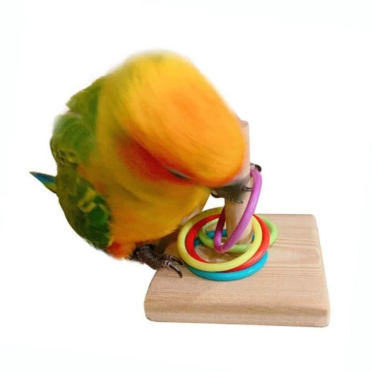 Bird Training Ring Toy | Parrot Educational Toys - Interactive Bird Supplies | Random Color Bird Toy | Wood + Plastic