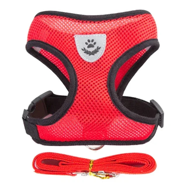 Cat Harness Vest | Walking Lead Leash for Puppy Dogs | Polyester Adjustable Mesh Dog Harness | Small Medium Pet Accessories Collar