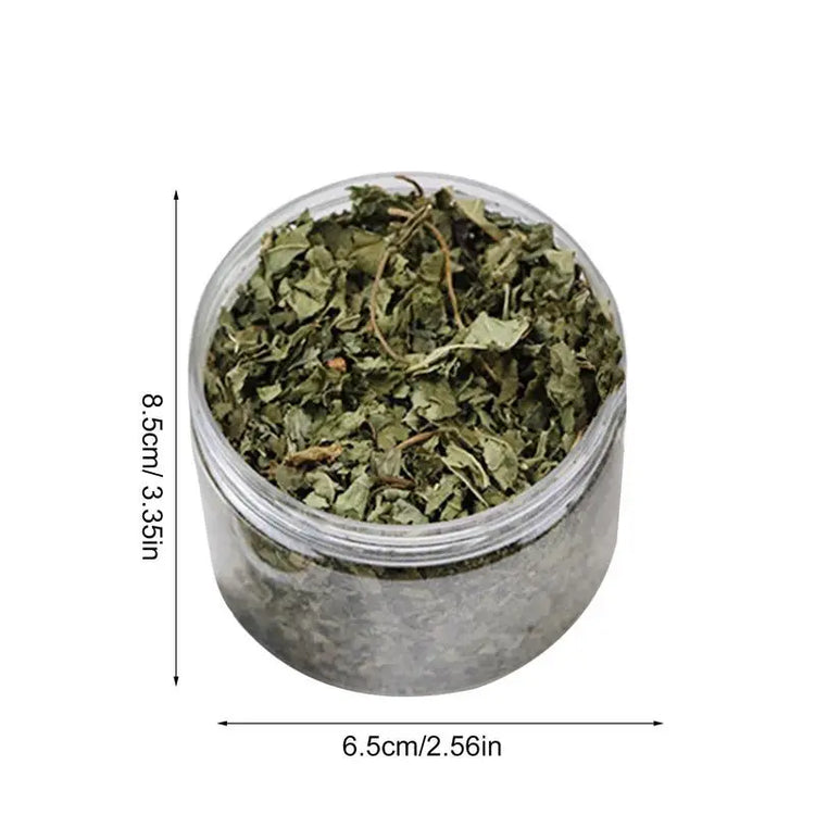 Natural Catnip | Organic Premium Catmints | Cat Toy Cataria | Eliminating Cats Hairballs | Absorbing Foods | Vitamin Supplement