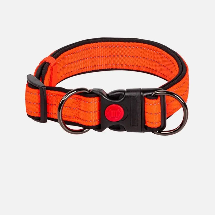 Reflective Padded Dog Collar – Durable Nylon with Double D Ring and Safety Buckle