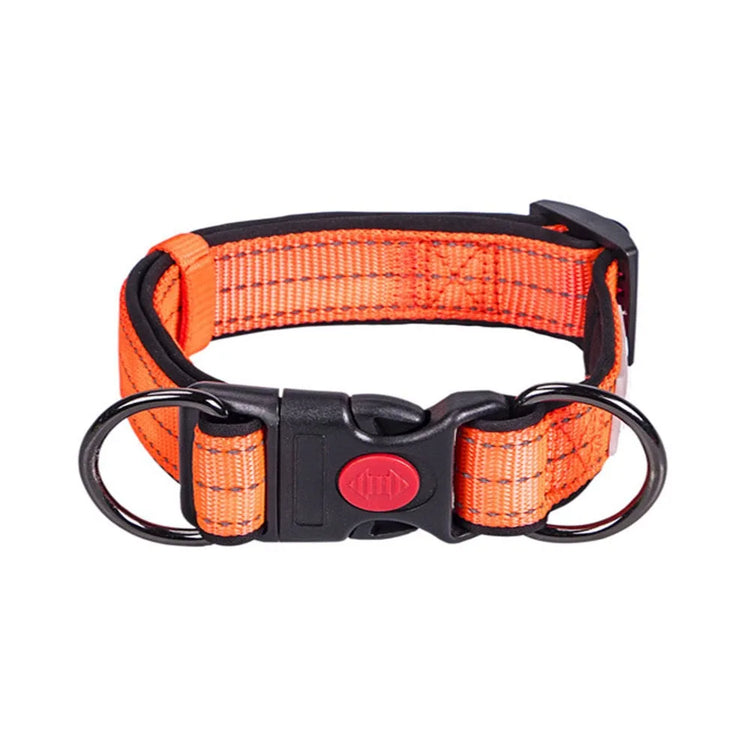 Reflective Padded Dog Collar – Durable Nylon with Double D Ring and Safety Buckle