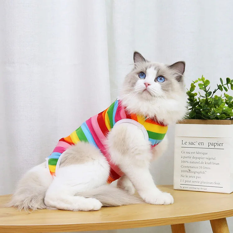 Cat/Small Dog Recovery Suit | Anti-Licking Sterilization Clothes | Breathable Surgery Vest for Spring/Summer