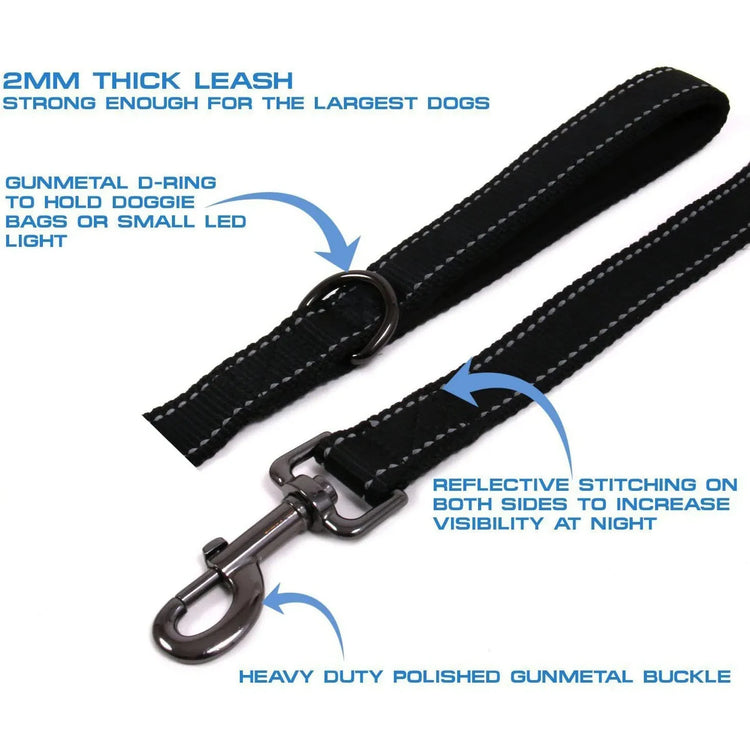 Heavy Duty Double Handle Dog Leash – Outdoor Training & Travel Lead