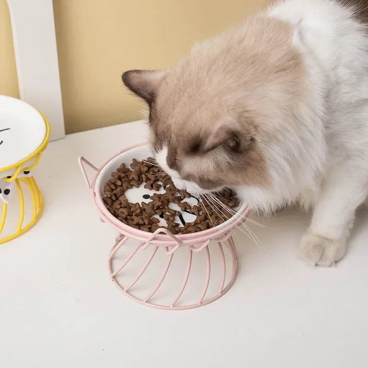 Ceramic Cat Food Bowl | High Foot Raised Pet Bowl | Cat Dog Feeding Dish | Cervical Spine Care | Outdoor Ceramic Bowl with Iron Stand | Anti-Tip Pet Feeder