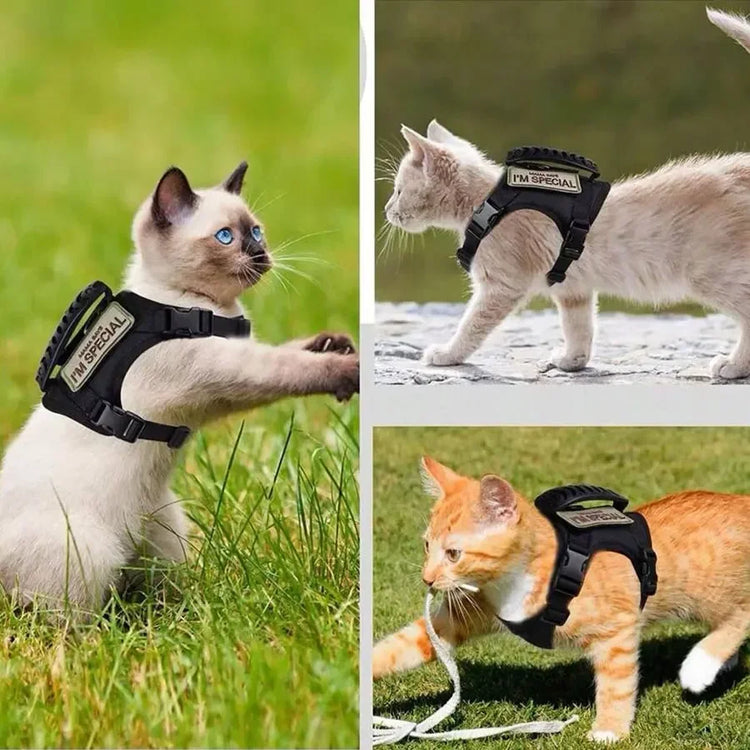 Outdoor Cat Vest | Waterproof Cat Clothes | Adjustable Cat Chest Strap | Special Walking Vest for Cats | Secure Outdoor Pet Harness