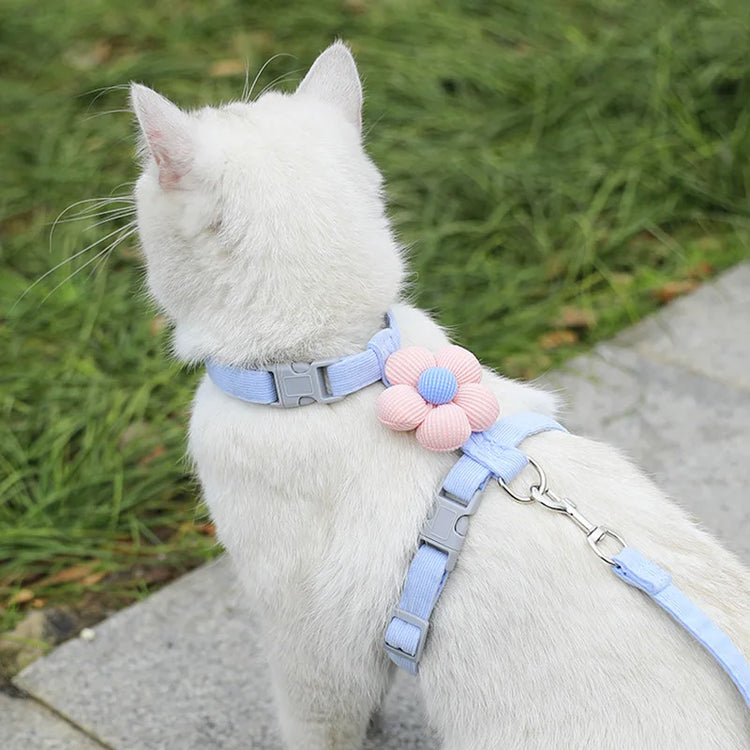 Cat Harness and Leash Sets | Adjustable Dog Harness for Small Dog | Leash Breathable Pet Harness | Out Walking Dog Strap