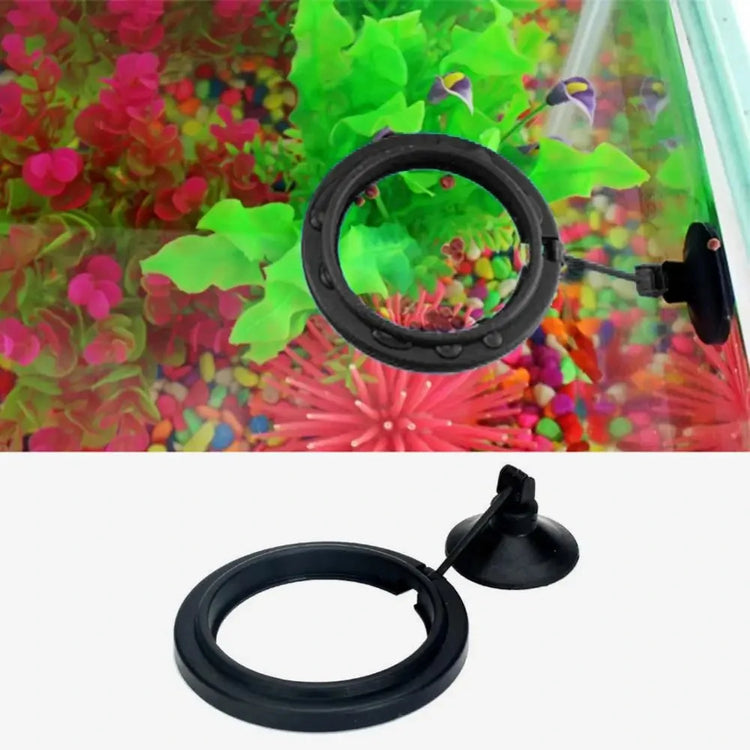 Aquarium Feeding Ring Fish Tank Floating Food Tray with Suction Cup – Square Design