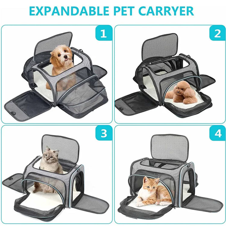 Soft-Sided Dog and Cat Carrier for Kittens – Lightweight & Portable Travel Bag