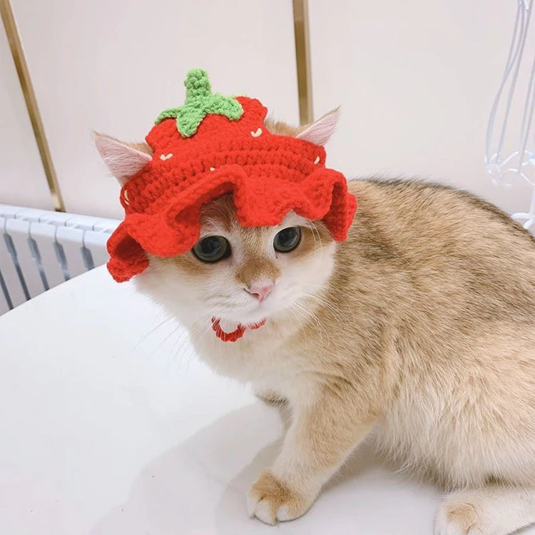 Pet Headgear | Cat and Dog Knitted Hat | Cosplay Props | Pet Headwear | Funny Pet Transformation Clothing