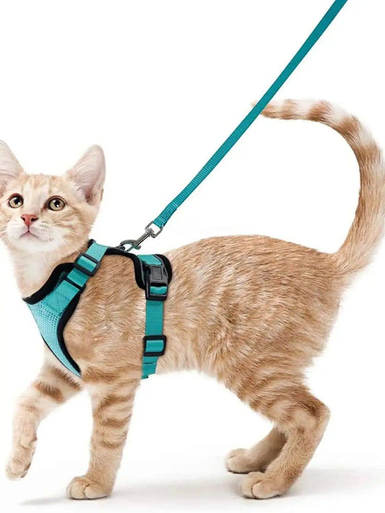 Cat Harness and Leash for Walking | Escape Proof | Soft Adjustable Vest Harnesses for Cats | EasyControl