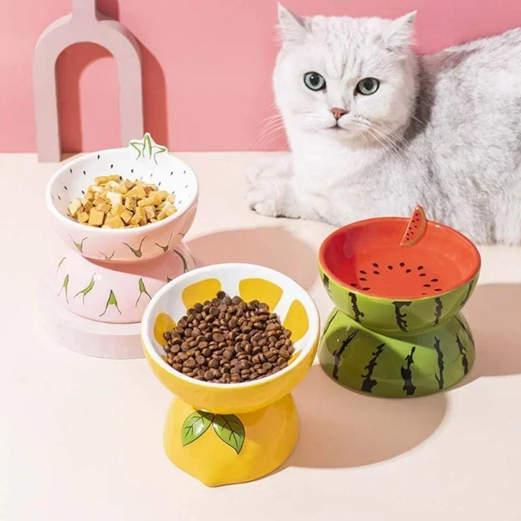 Cat Bowl | Ceramic Cervical Protection | Elevated Grain Bowl | Tilted Mouth | Water & Snack Dish | Pet Products | Fruit Shape Design