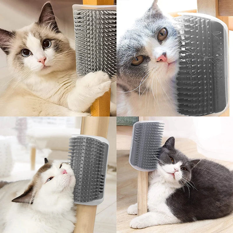 Cat Massage Brush – Self-Grooming Tool with Catnip | Wall/Door/Table Mountable Cat Massage Brush for Cats | Cat Toys
