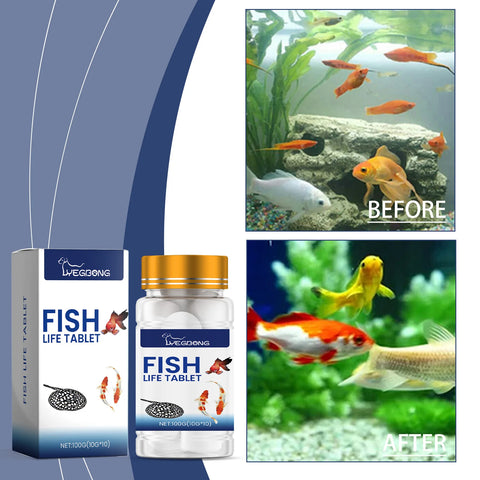 YEGBONG Algaecide 100ml – Rapid Water Purifier & Algae Inhibitor for Fish Tanks and Ponds