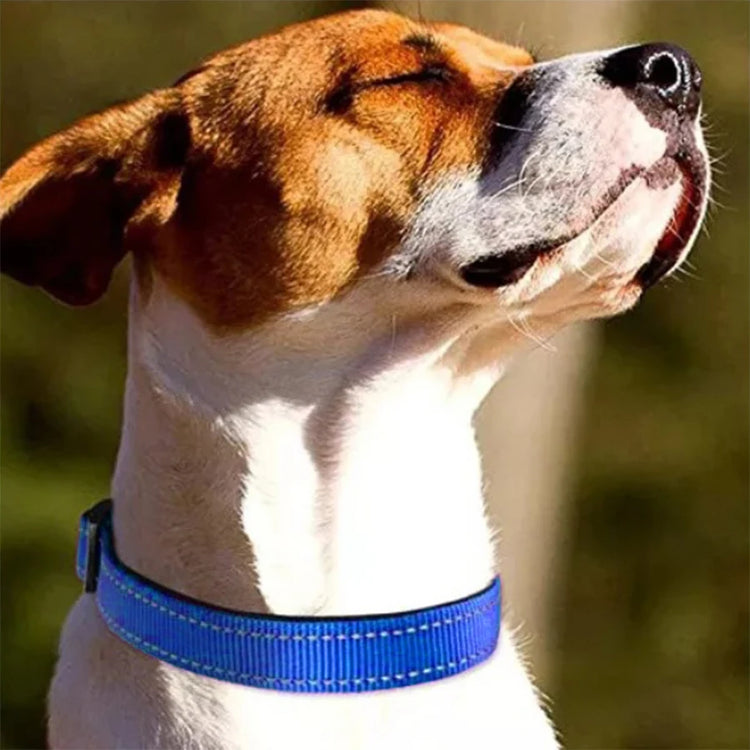 Reflective Soft Padded Dog Collar – Adjustable & Breathable Safety Collar for Small, Medium & Large Dogs