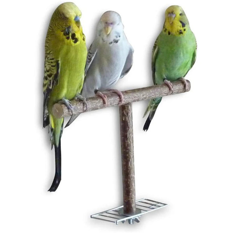 Pet Parakeet Budgie Hanging Play Toys | Bird Cage Wood Branch Stand Perches | Parrot Wooden Holder Perches