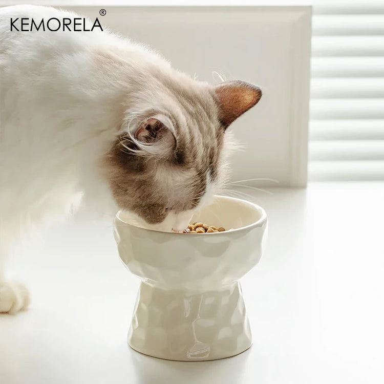 Cat Ceramic Bowl | Gradient Pet Food & Water Feeders | Small Dogs Drinking & Eating Supplies | Raised Tilted Cats & Puppy Feeding Supplies