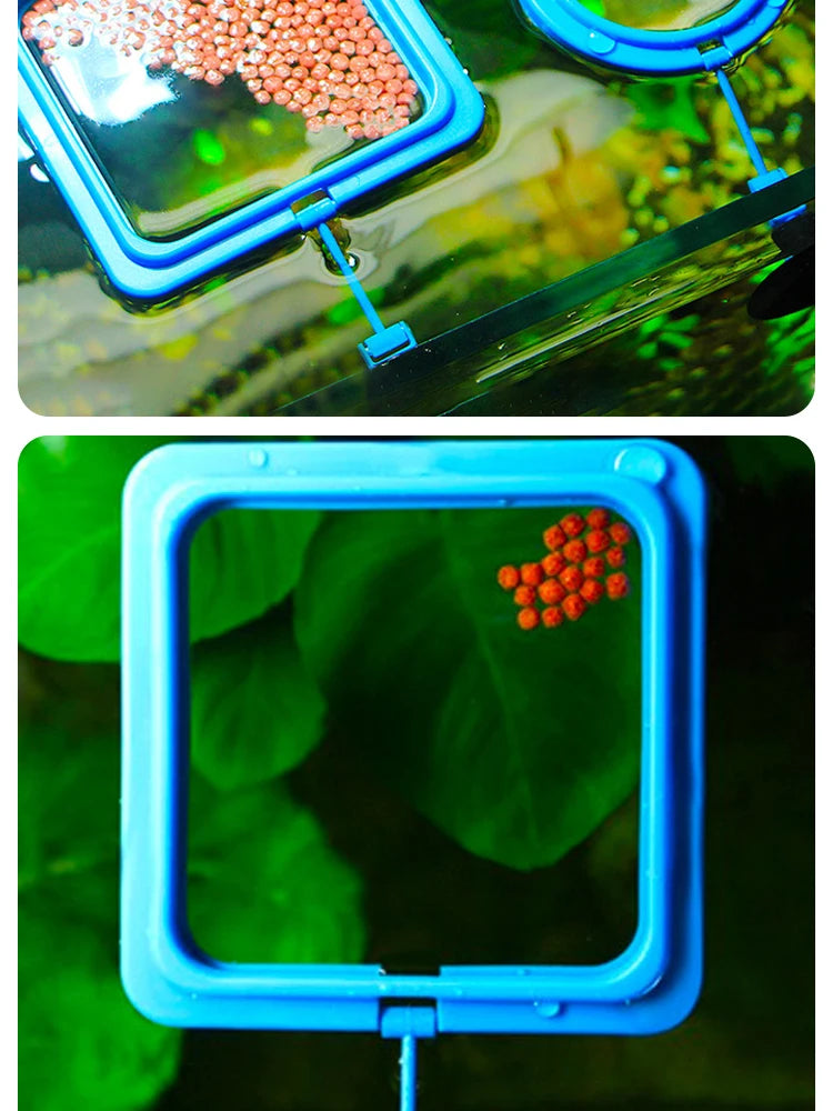 Floating Fish Food Feeder Ring with Suction Cup – Square & Circle Aquarium Station