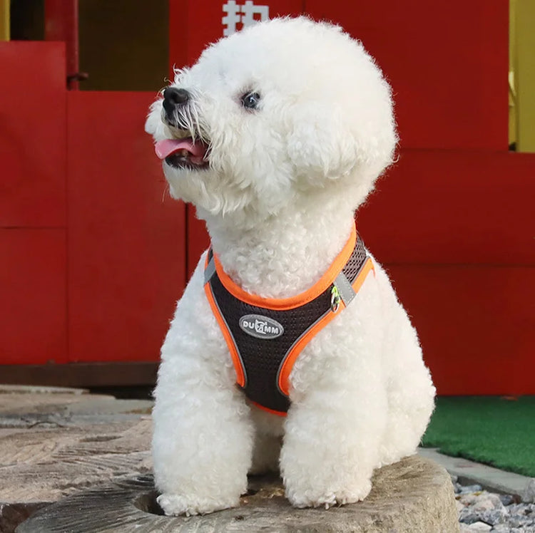 Pawstrip Soft & Reflective Dog Harness with Leash – Comfortable Vest Harness for Small Dogs