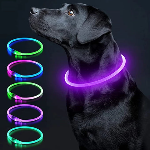 LED Luminous Dog Collar USB Charging Flashing Glowing Safety Anti-Lost Collar for Cats and Dogs Ask ChatGPT