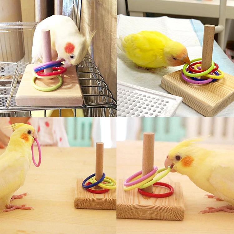 Bird Training Toys Set | Wooden Block Puzzle Toys for Parrots - Colorful Plastic Rings / Intelligence Training Chew Toy - Bird Supplies
