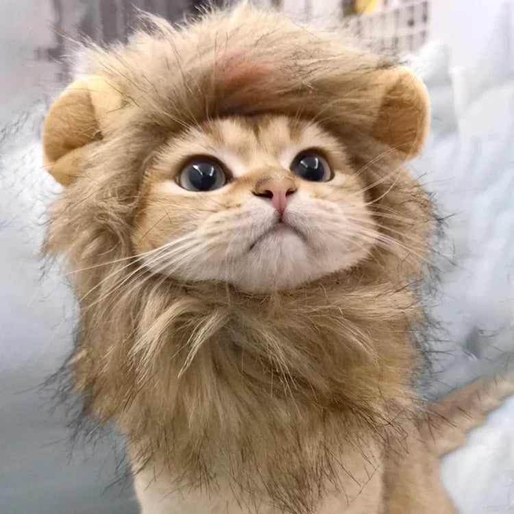 Cute Lion Mane Wig Hat for Cats/Small Dogs | Funny Pet Costume For Halloween, Christmas & Parties