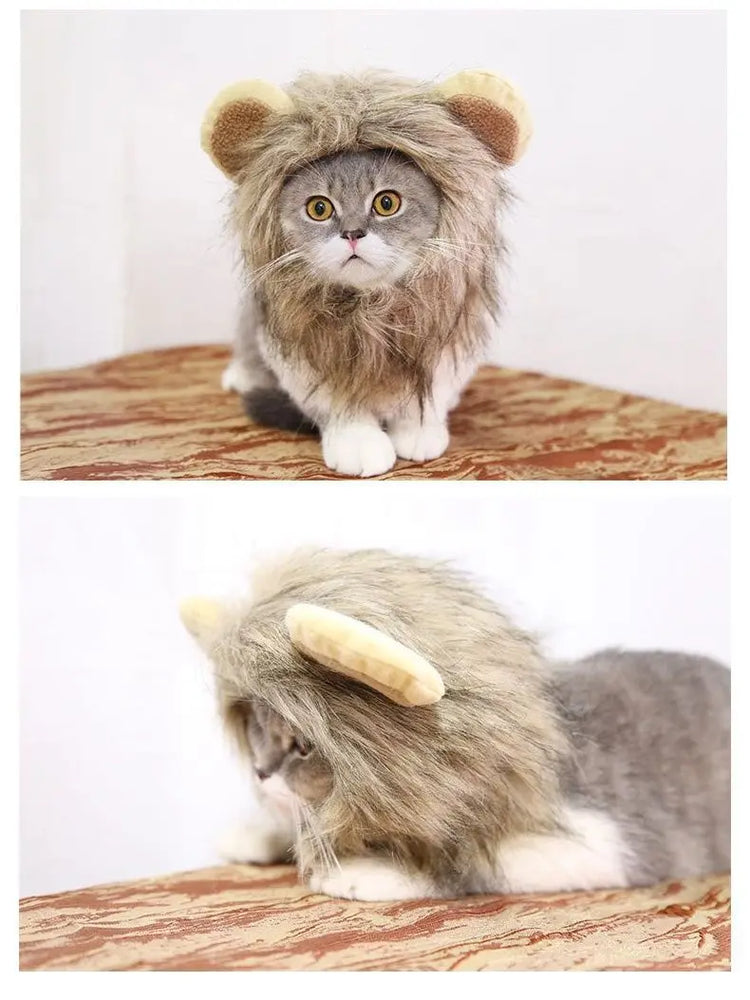 A HAT FOR CAT | Cute Costume Cap | Adjustable Warm Hat | Soft Cat Headwear | Small Pet Outfit | Funny Cat Hat | Pet Accessories