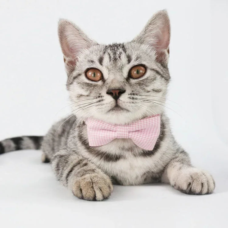 Cute Cat Collar with Bow Tie | Adjustable Design| Pet Dogs Cats Puppy Necklace - Pet Supplies