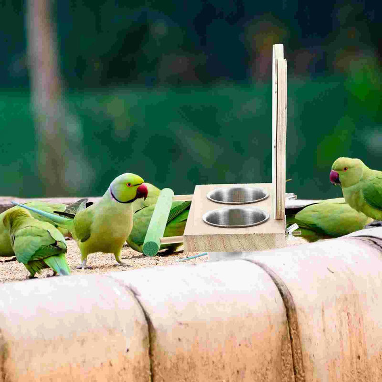 Bird Perch with Feeding Bowl | Wooden Stand & Food Cup for Parrots | Cage Feeder & Play Rack Combo | Acrylic & Wood Bird Cage Accessory