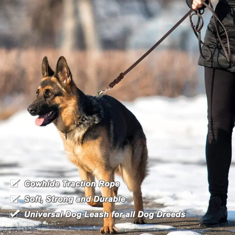 Braided Leather Dog Collar and Leash Set – Durable Genuine Cowhide for Medium & Large Dogs