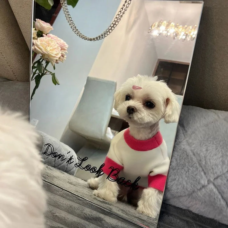 Kawaii Marie Cat | Dog & Cat Sweater Costume | Winter Warm Pet Clothes | Pullover Mascotas Clothing | Gatos Products for Animals