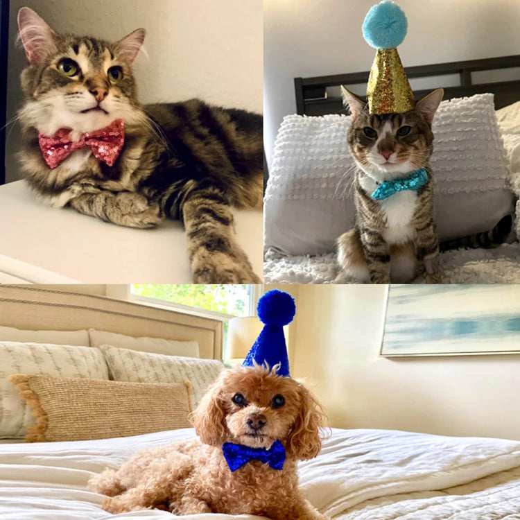 Cat Dog Bow Tie/Hat Decoration | 2Pcs Set | Baby Birthday Party Prop - Glitter Pom Pom Headwear + Bowknot Collar | Pet Supplies