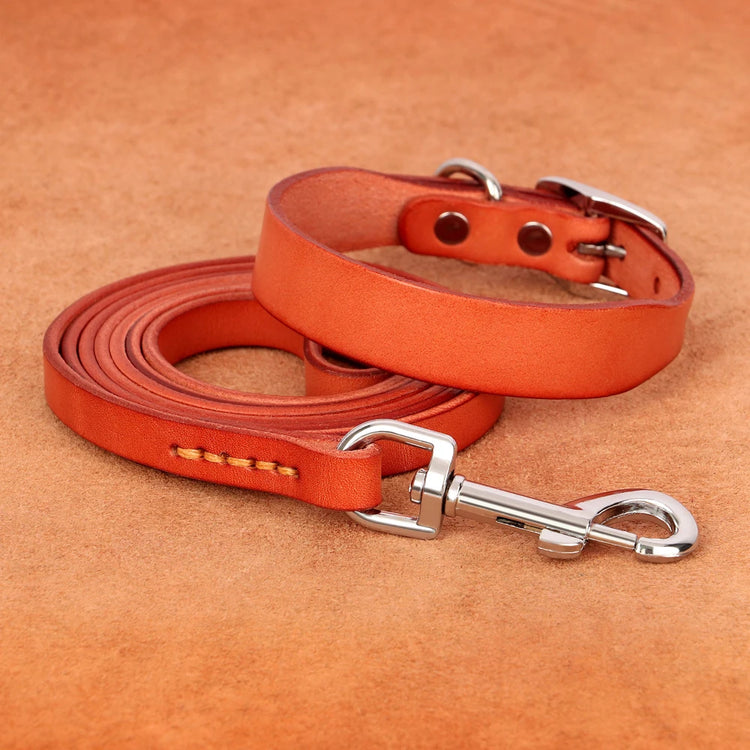 Genuine leather dog collar and leash set – durable and comfortable for small to medium dogs