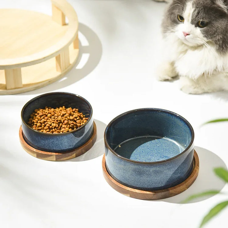 Cat Bowl | Cat Food Bowl | Ceramic Pet Food & Water Feeder | For Small & Medium-Sized Dogs | Spine Protection | Rollover Prevention