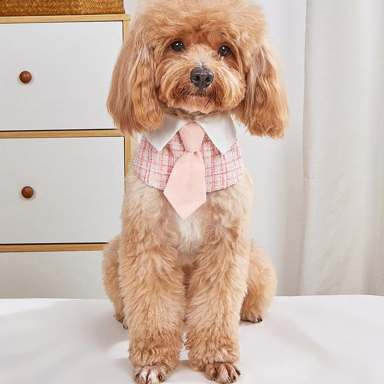 Fashion Striped Pet Bow Tie Bib – Adjustable Saliva Towel for Small & Medium Dogs and Cats