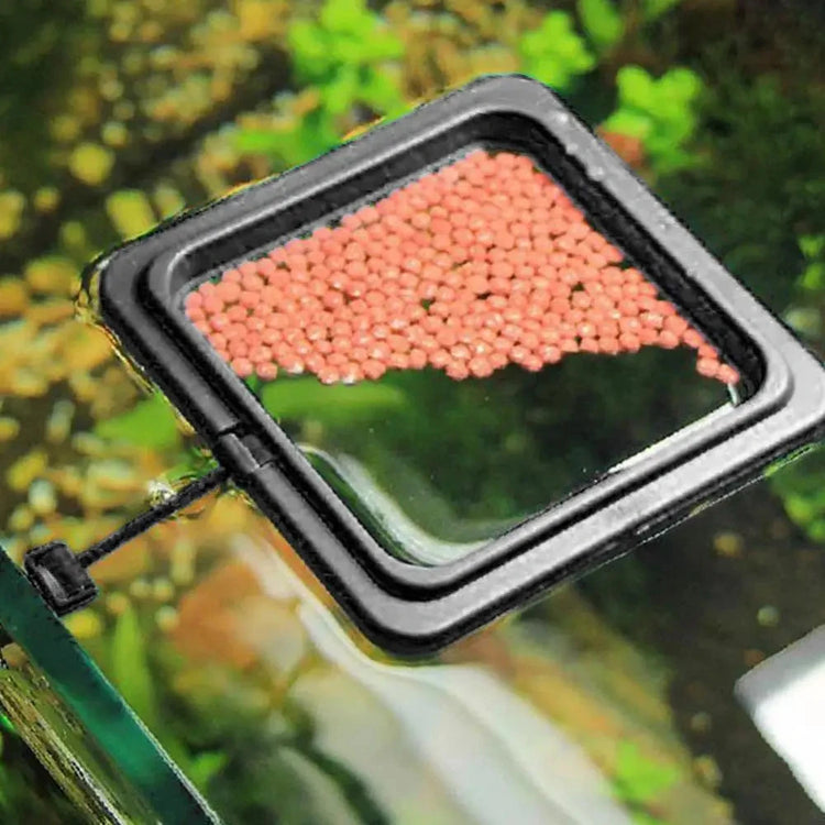 Aquarium Feeding Ring Fish Tank Floating Food Tray with Suction Cup – Square Design